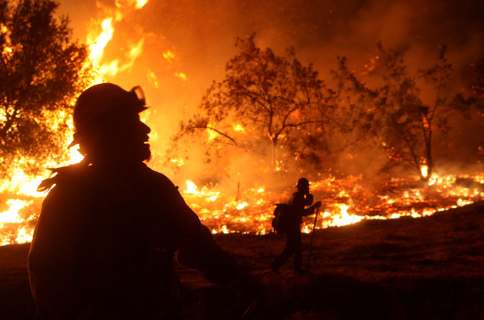 wild fire