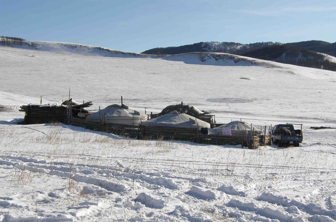 Mongolian community