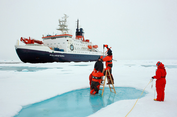 Arctic