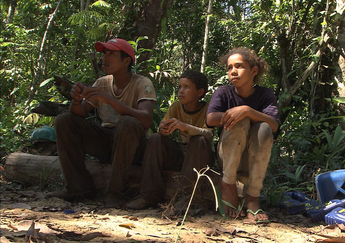 The fight for Amazonia- Raids in the Rainforest