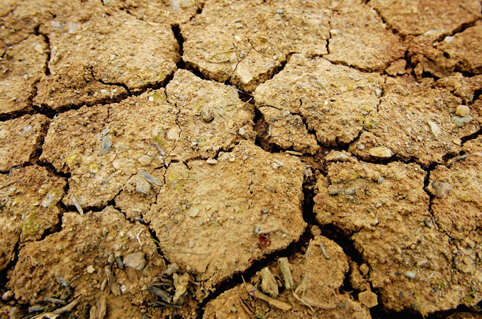 Parched