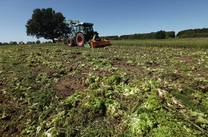 farming
