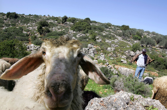 Palestine valley