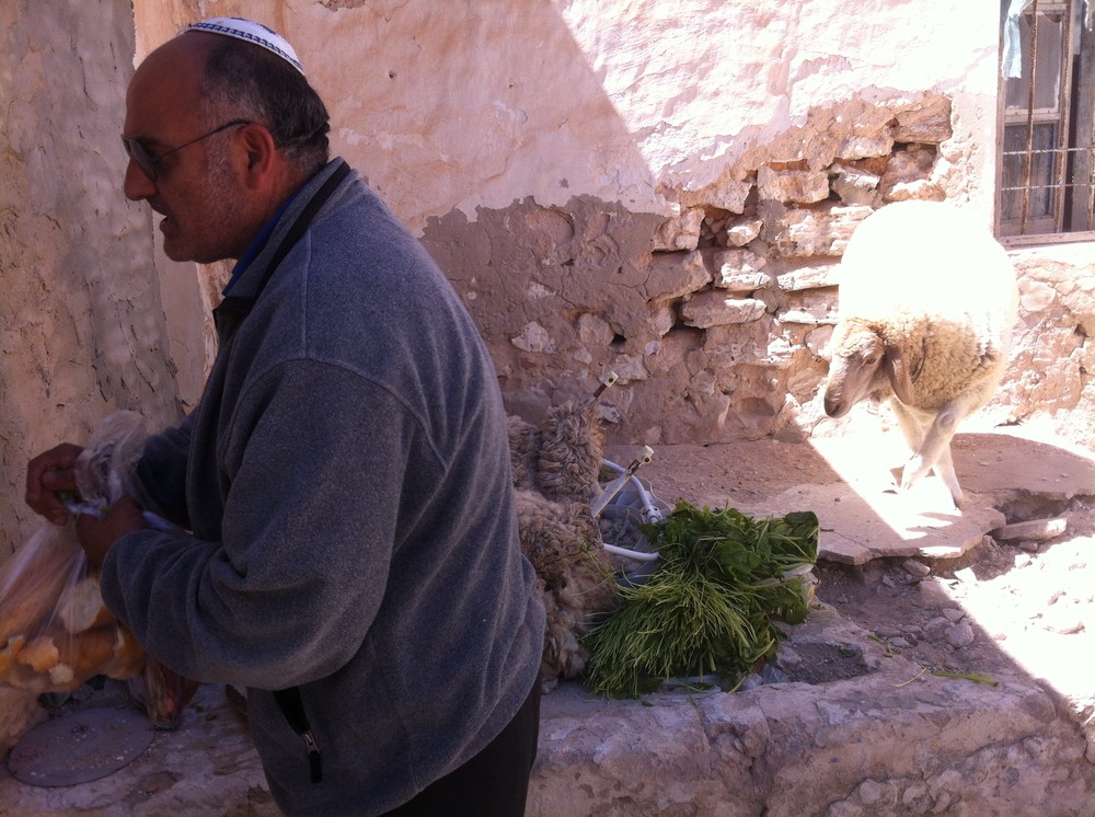 Haykel