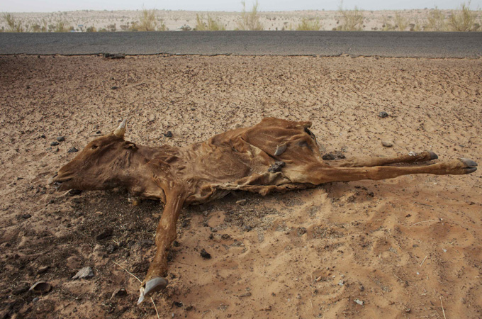 sahel droughr mauritania