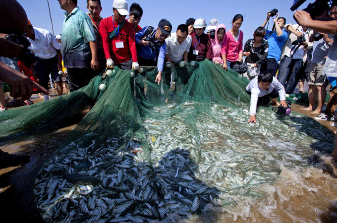 fish