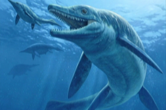 Jim Sea reptile