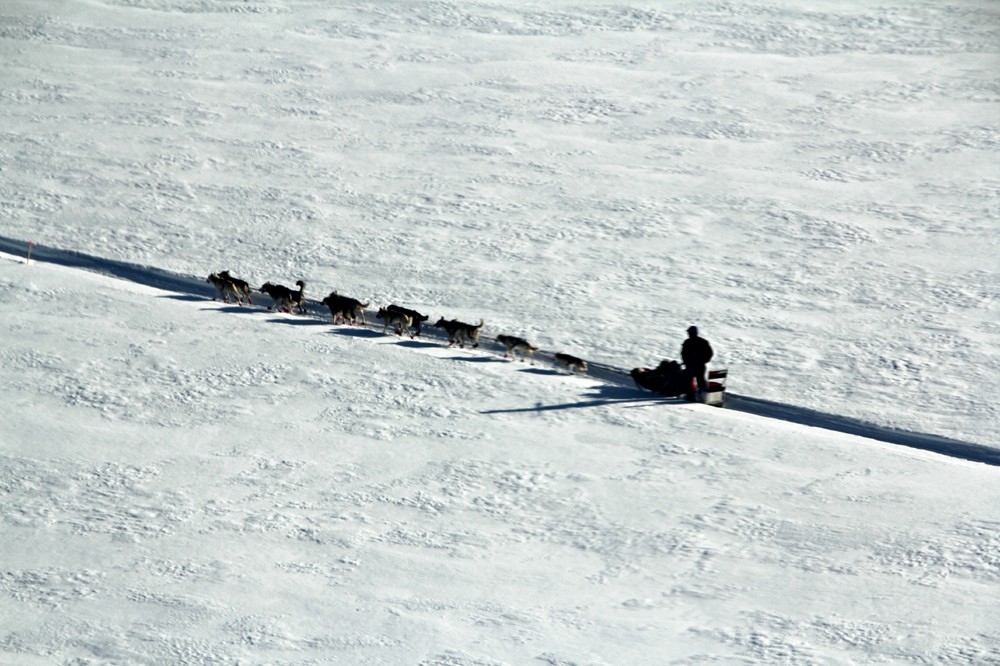 Iditarod