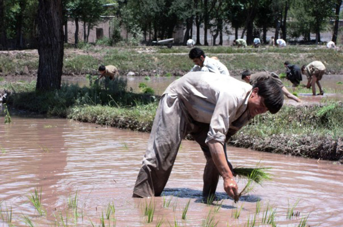 Pakistan heat wave