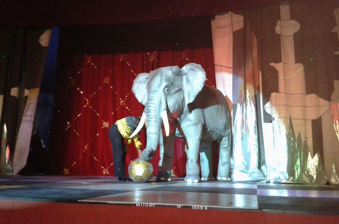 'Big Yorgi' the robot elephant has replaced live animals after they were banned [Duncan Tucker/Al Jazeera]