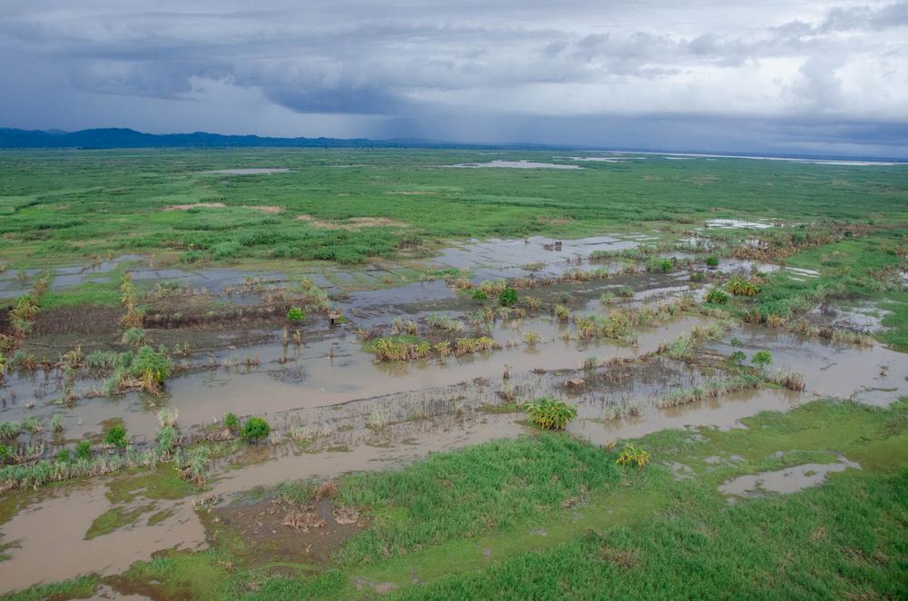 Malawi's economy is overwhelmingly dominated by agriculture. Four-in-five people in Malawi live in rural areas, and agriculture accounts for 90 percent of the country's export revenues and one-third of its GDP.