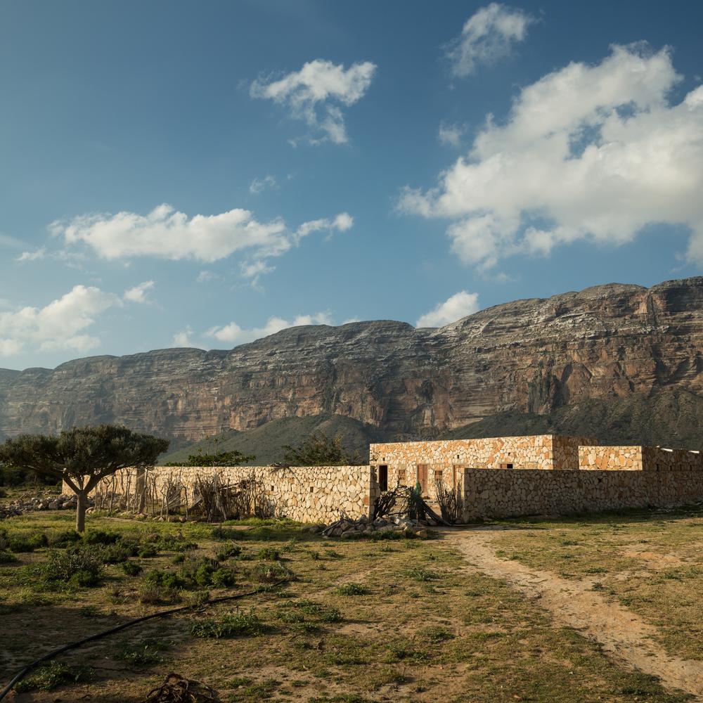 The island of Socotra is located about 400km from Yemen in the Indian Ocean. The island, which comprises more than 600 villages, was recognised by UNESCO as a World Heritage Site in 2008.