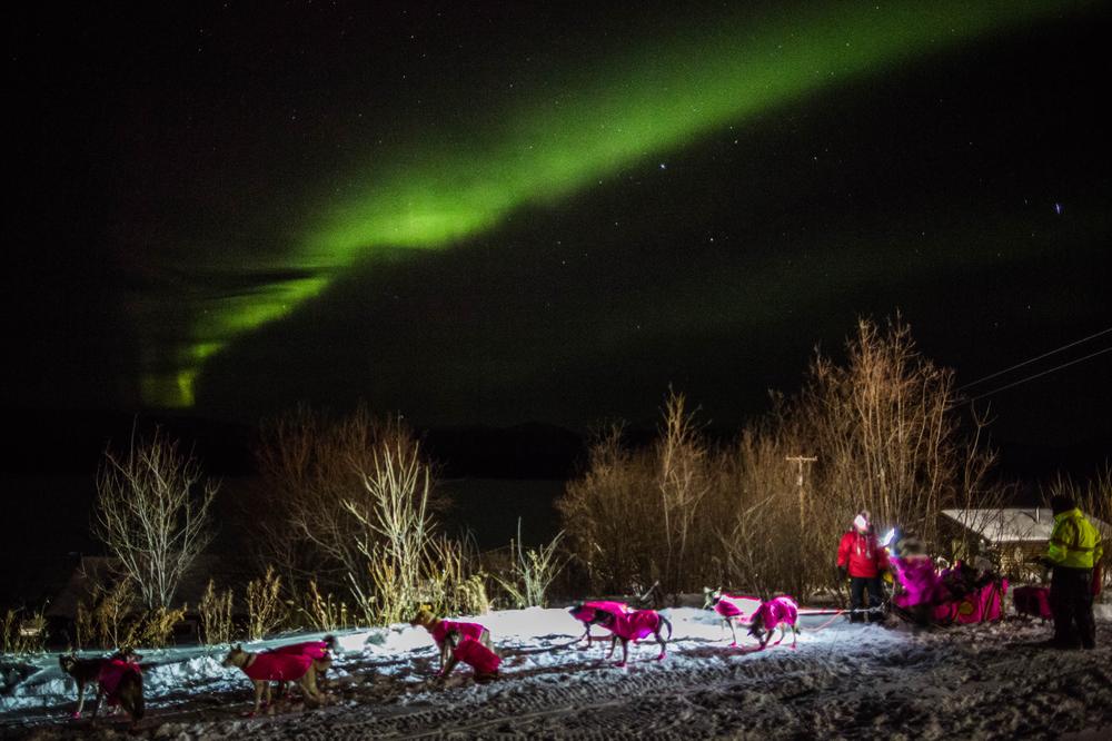 Alaska Dispatch News