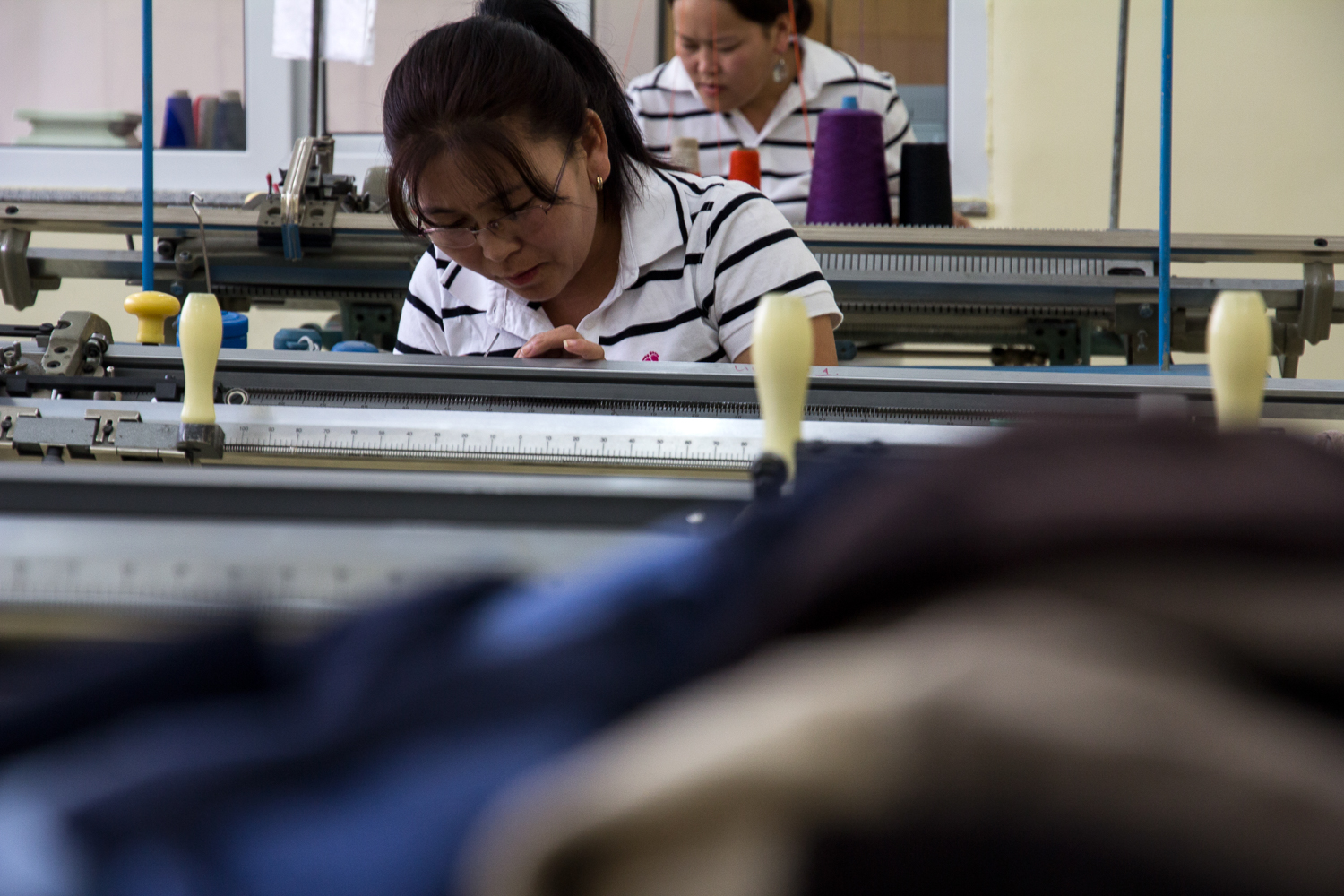 Cashmere Mongolia