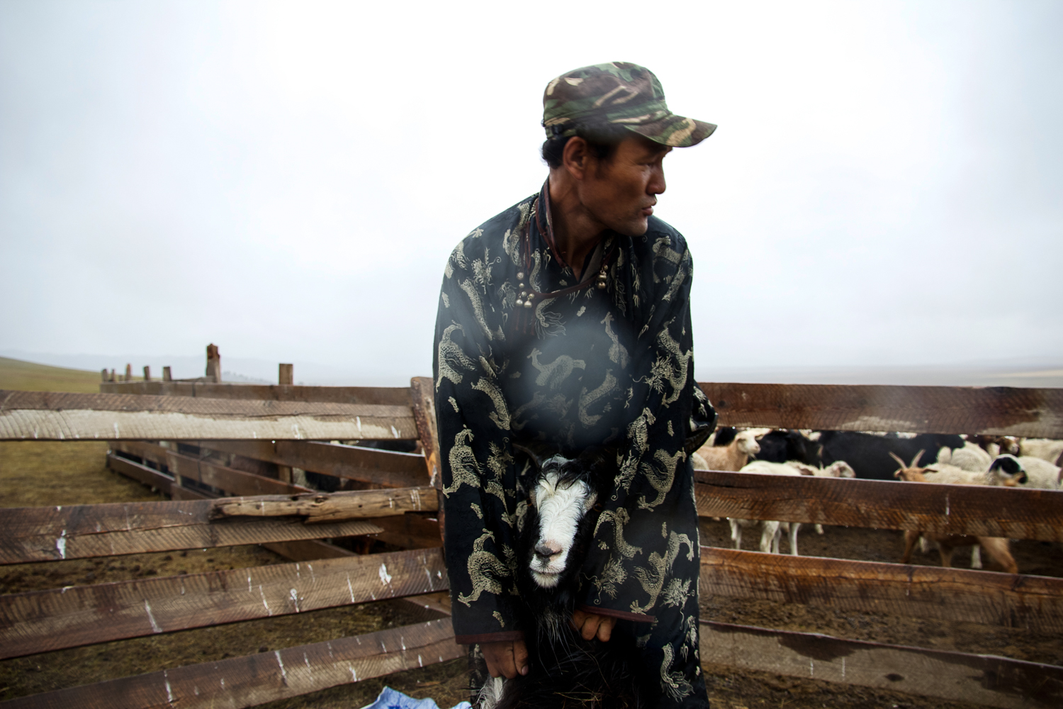 Cashmere Mongolia