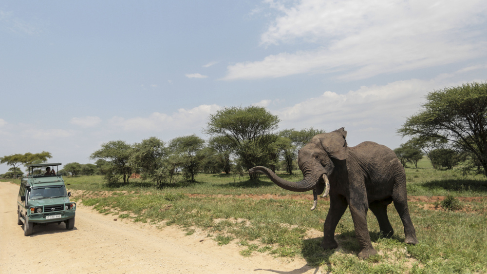 Tanzania