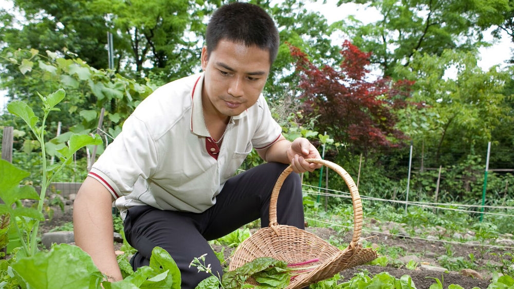 New Roots Farmer