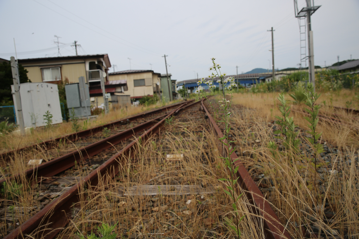 Japan trains