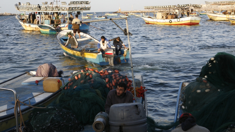 Al Jazeera Gaza fishies