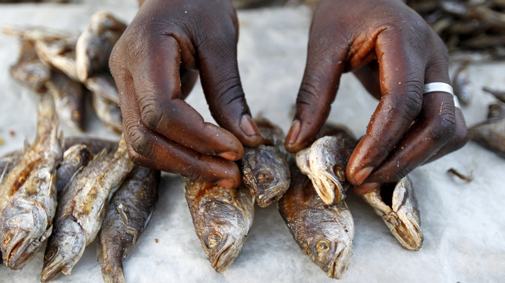 DO NOT USE - STREET FOOD - KENYA