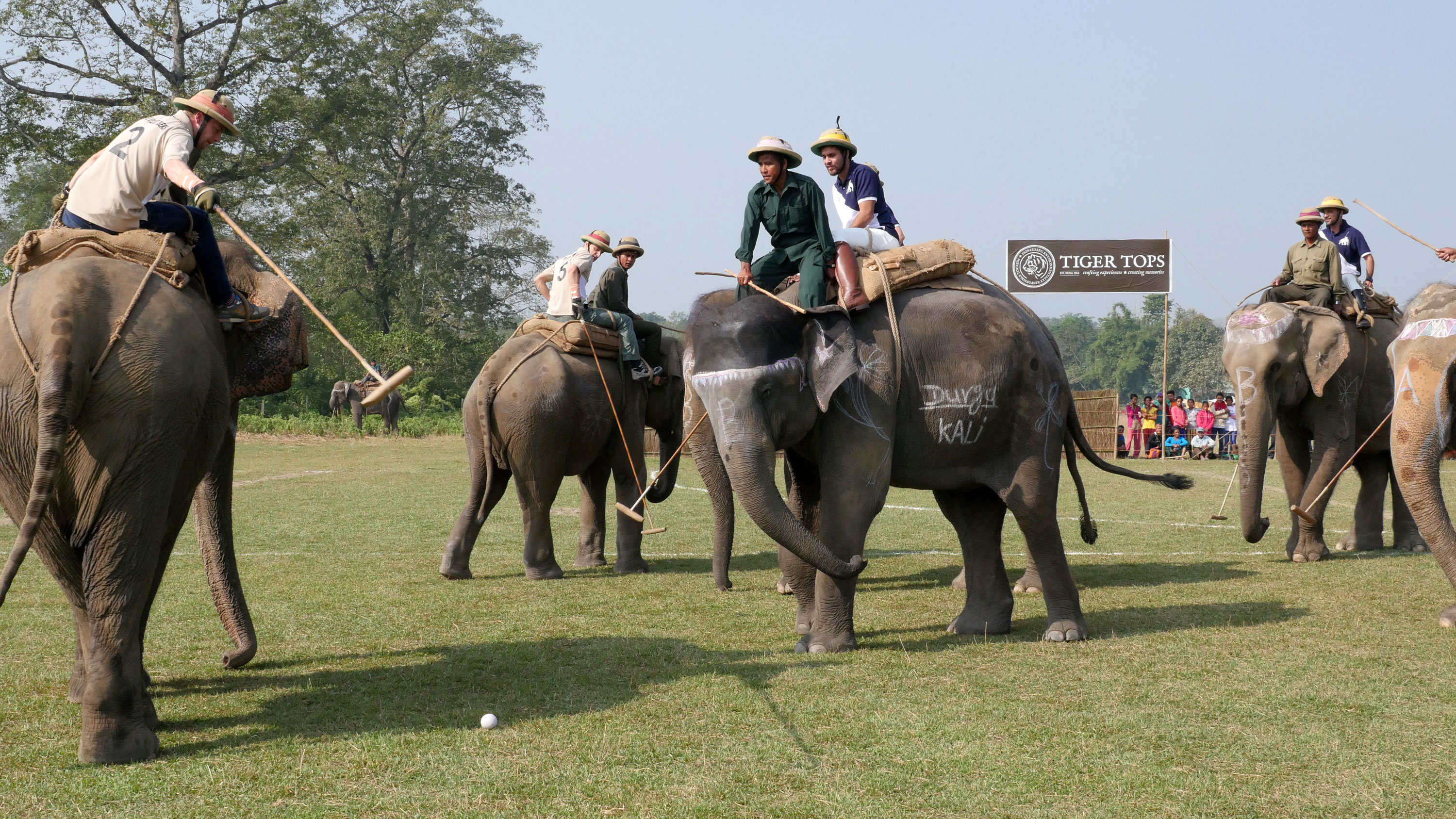 WORLD ELEPHANT POLO/ Please Do Not Use