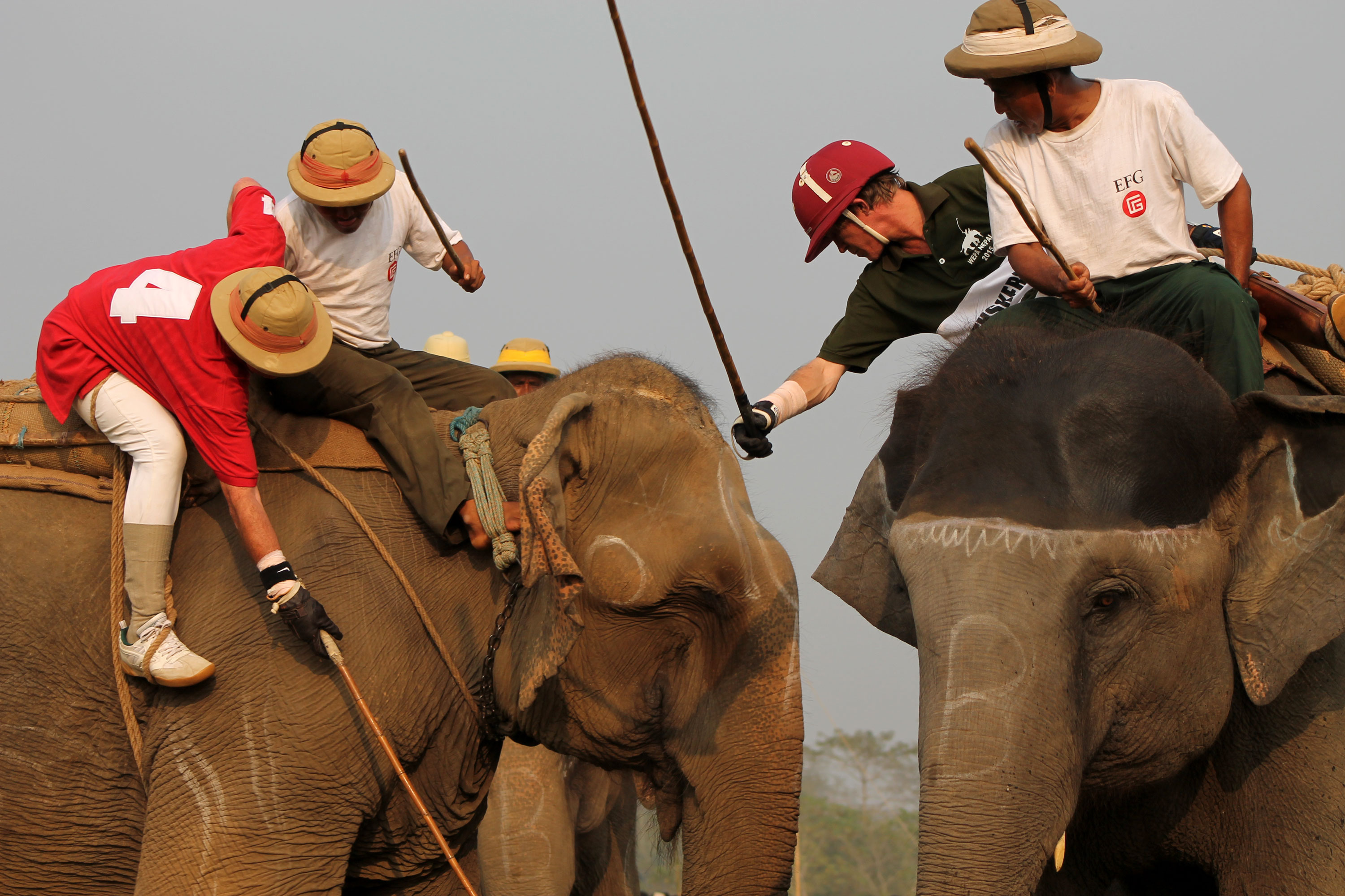 WORLD ELEPHANT POLO/ Please Do Not Use