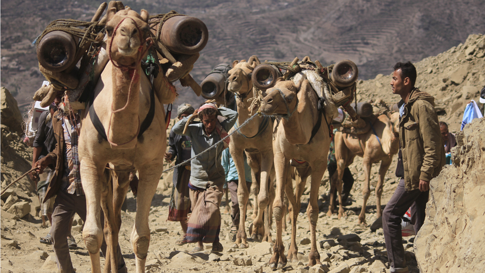 Camel Caravan