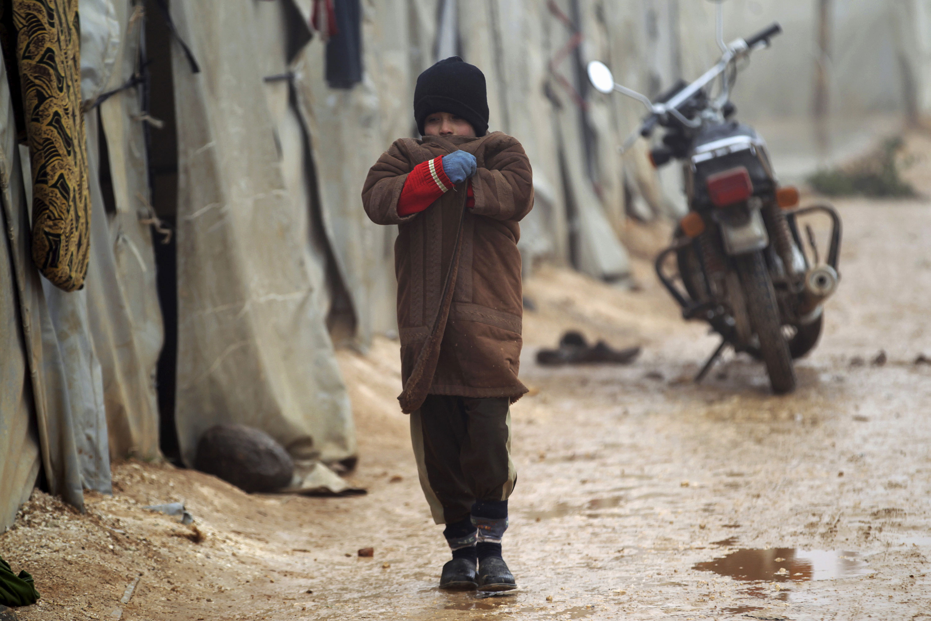 Syrian winter