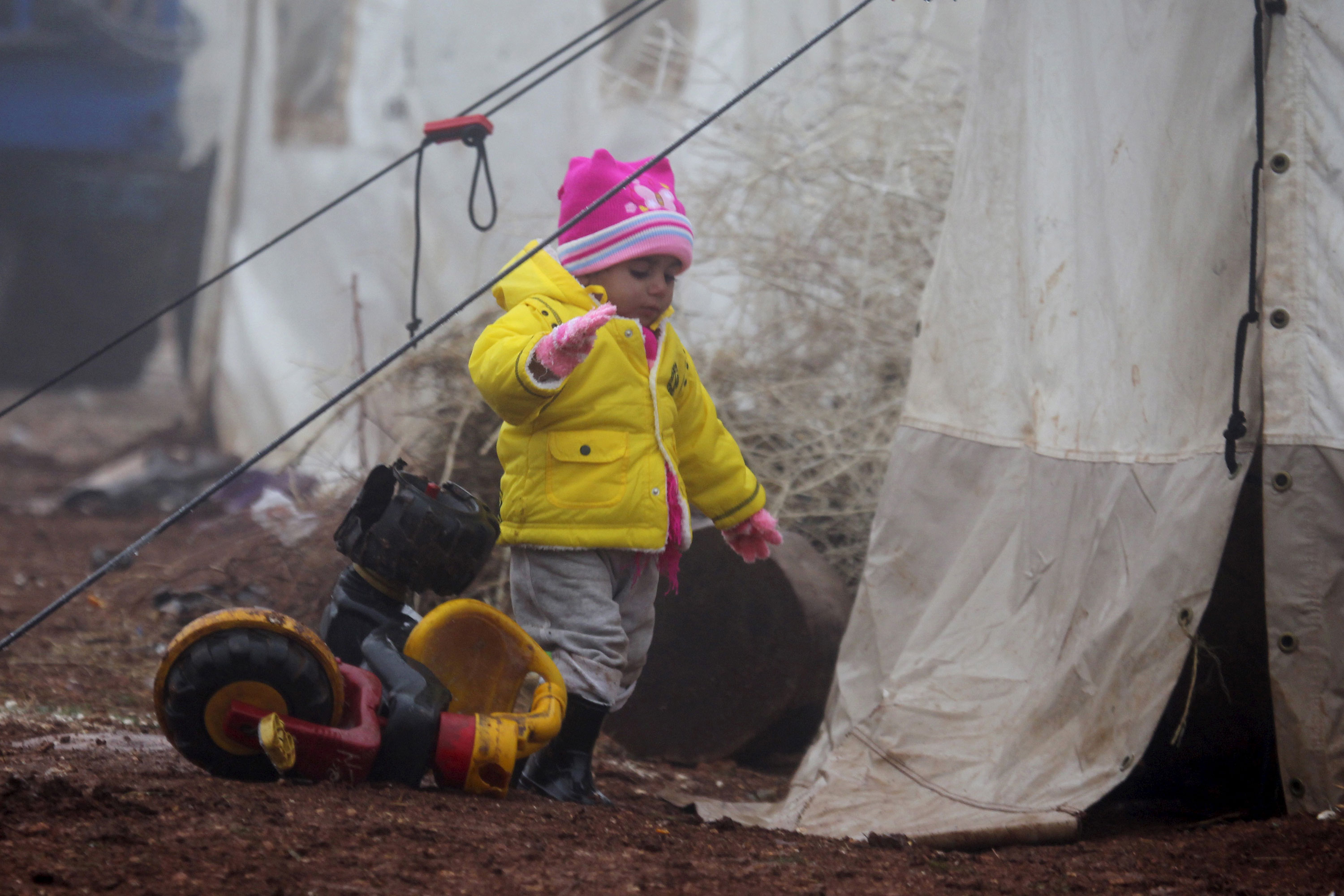 Syrian winter