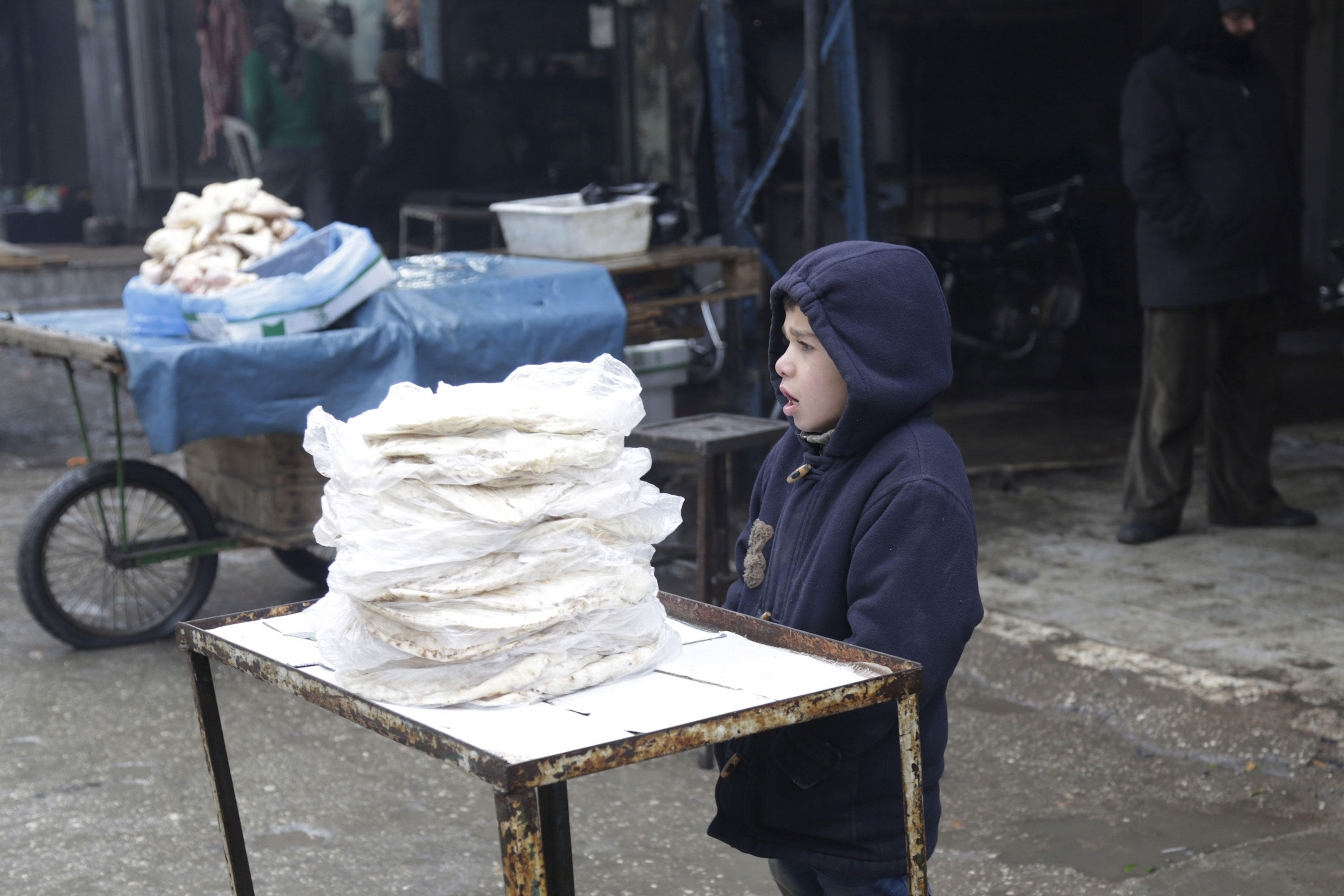 Syrian winter