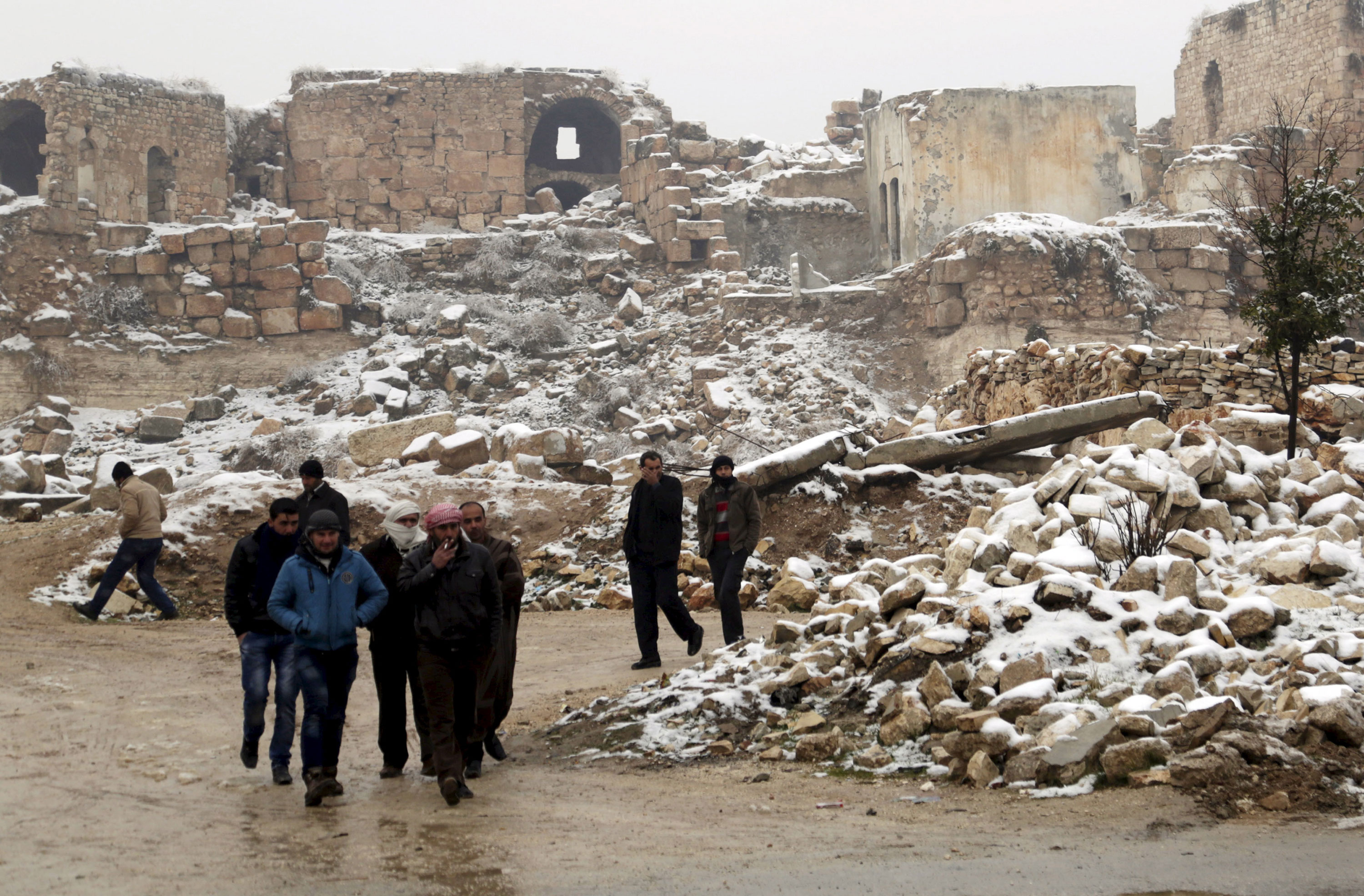 Syrian winter