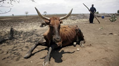 Zimbabwe drought