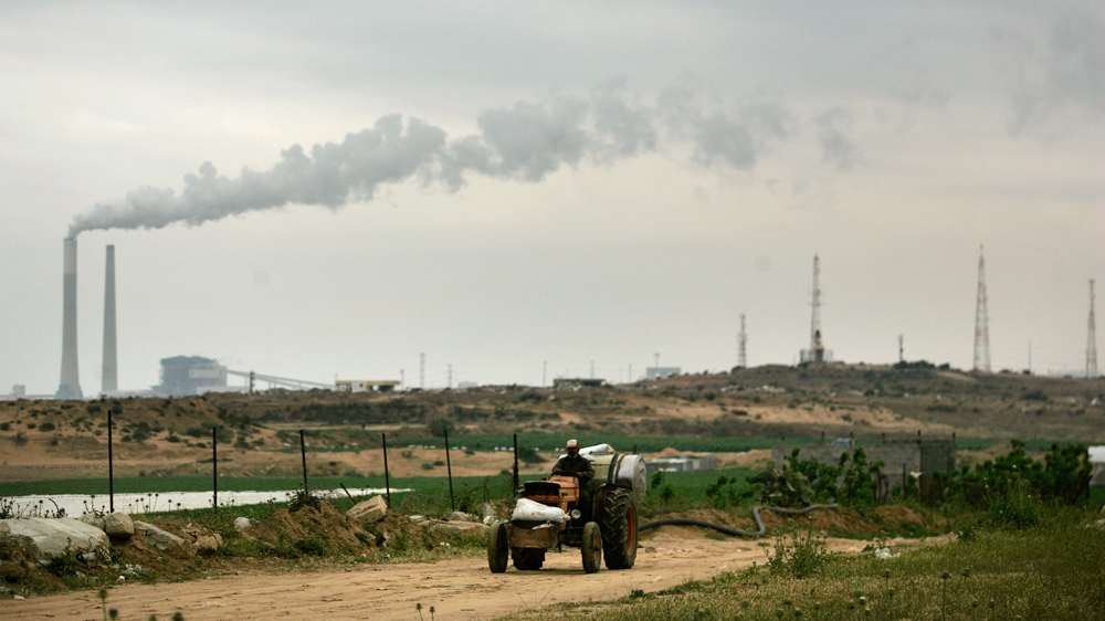 palestine farmers