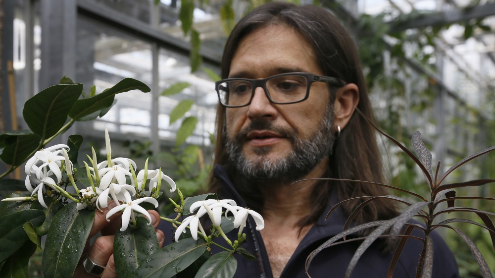 London plants