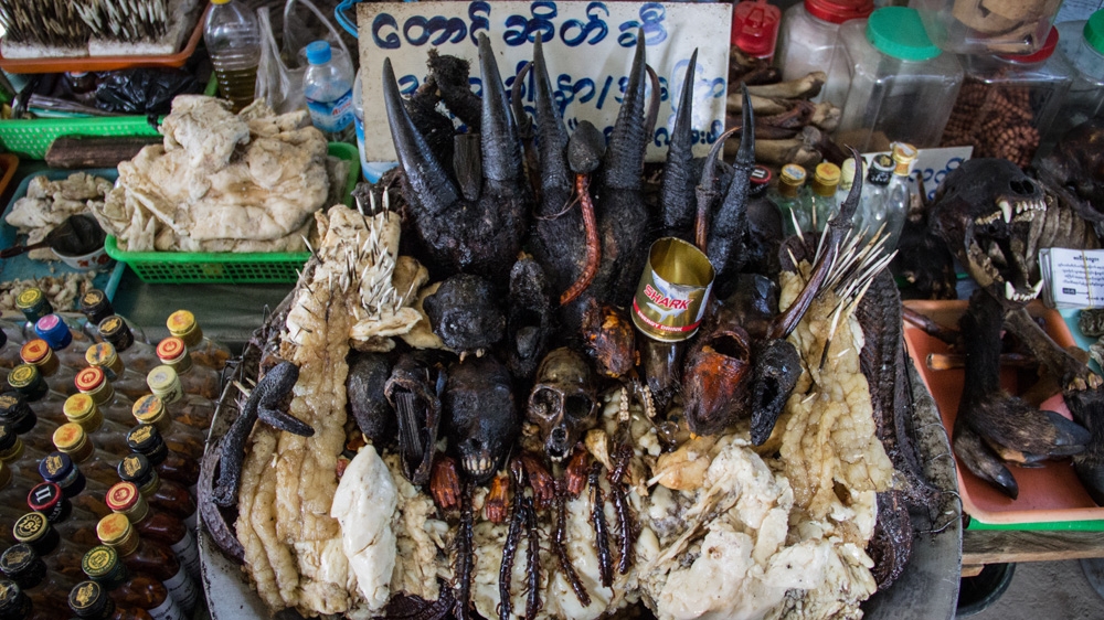 Animal fat massage oil being prepared at a local medicinal shop [Katie Arnold/Al Jazeera]