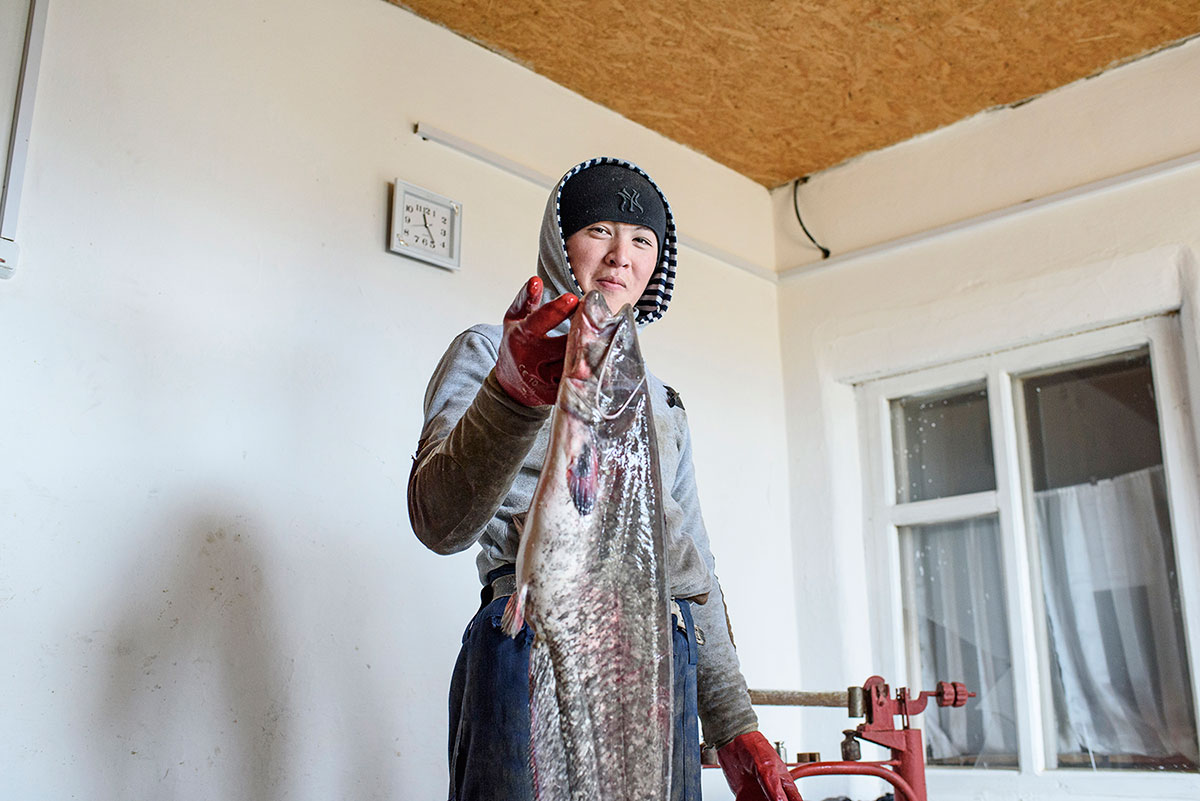 Aral sea portfolio/Please Do Not Use