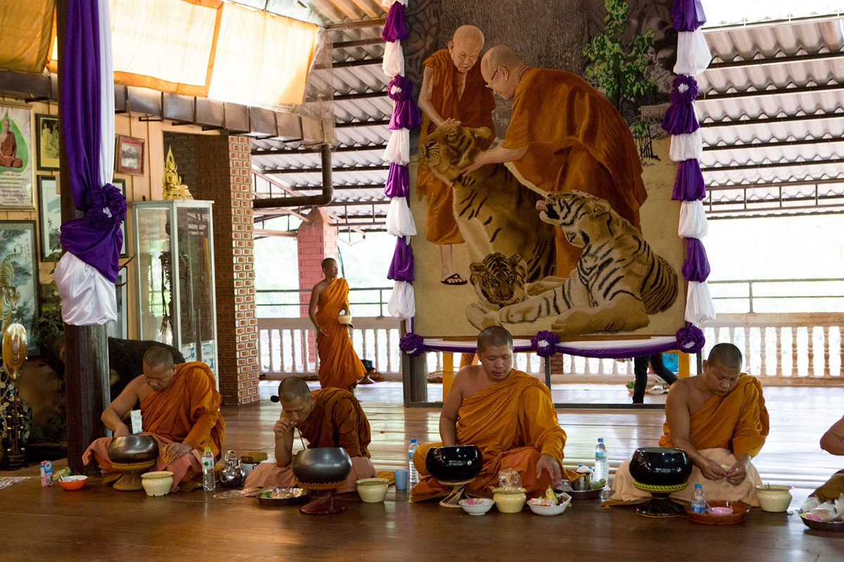 The End for Thailand''s Infamous Tiger Temple/ Please Do Not Use