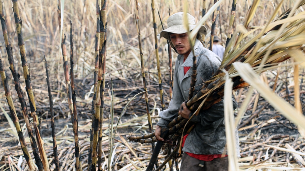 The Cure - El Salvador’s Silent Epidemic