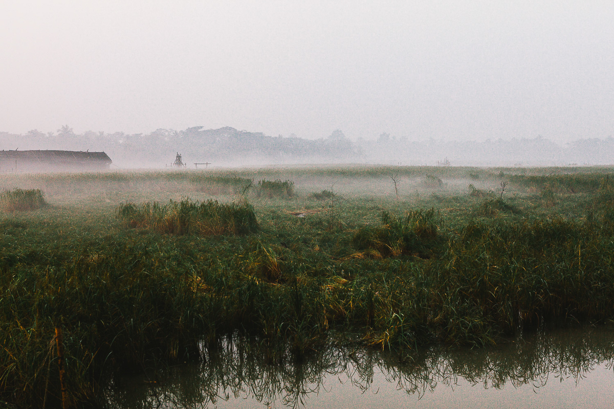 Surviving climate change in Bangladesh