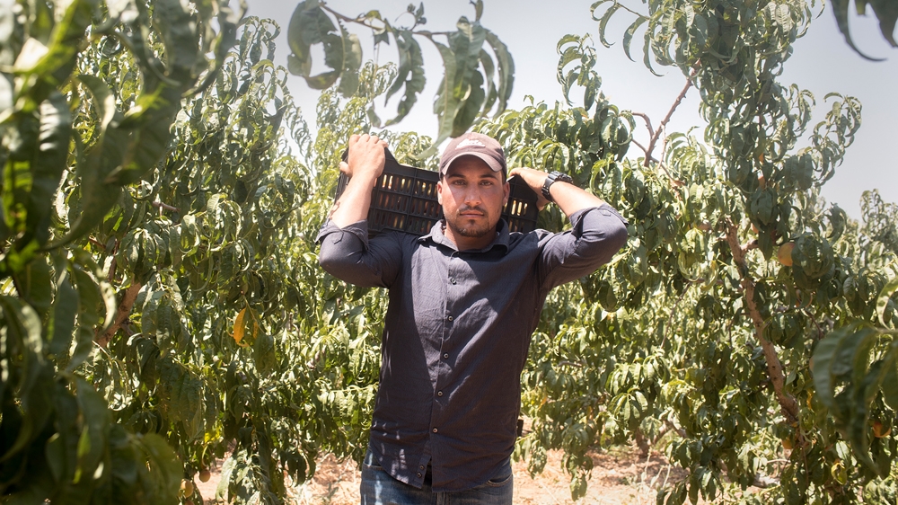 Syrian workers