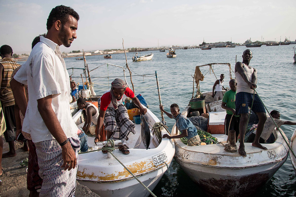 ON THE HOOF - SOMALILAND