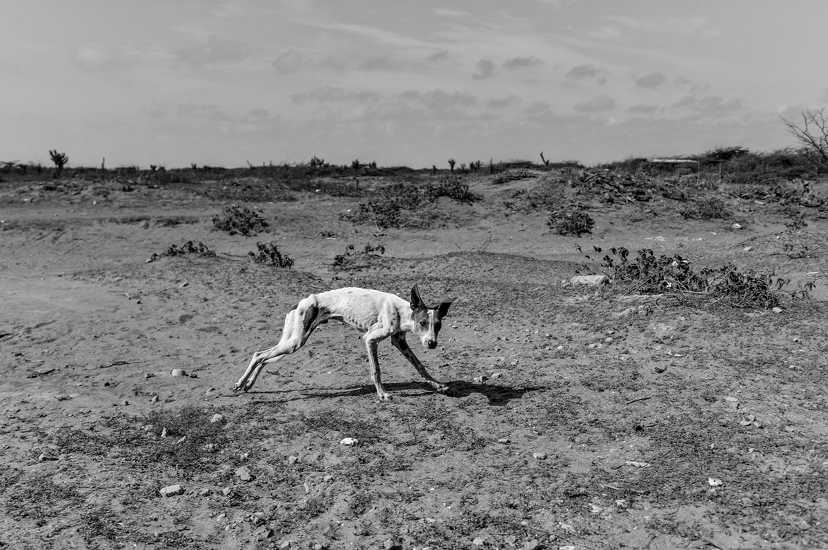 Hunger in Venezuela / Please Do Not Use