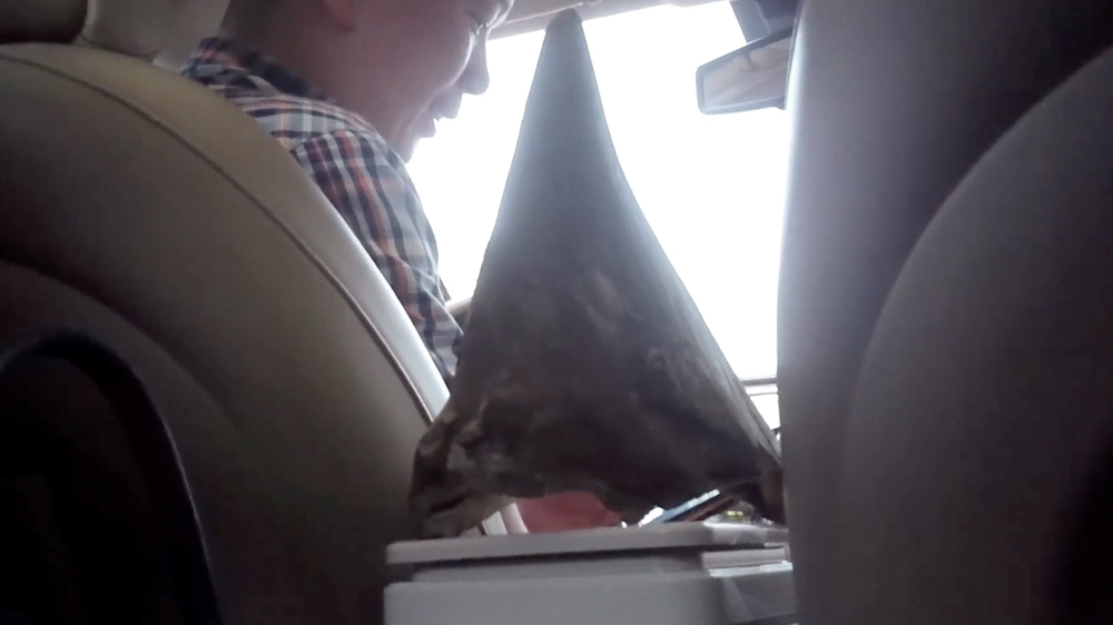 DO NOT USE Al Jazeera rhino poaching investigation