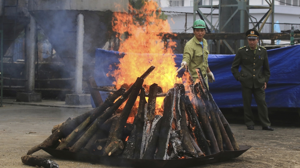 Vietnam burns illegal rhino horns and elephant ivory
