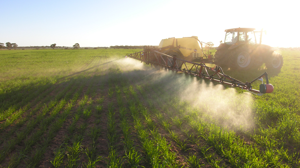 Herbicides sprayed