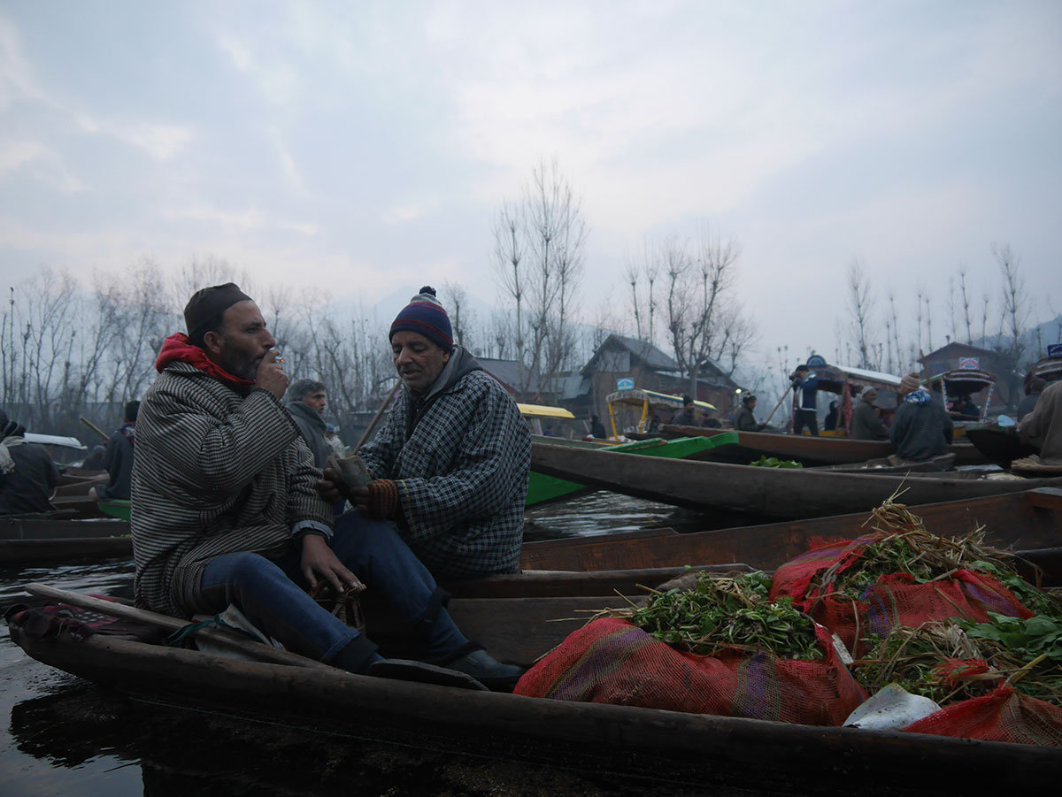 Kashmir / Please Do Not Use