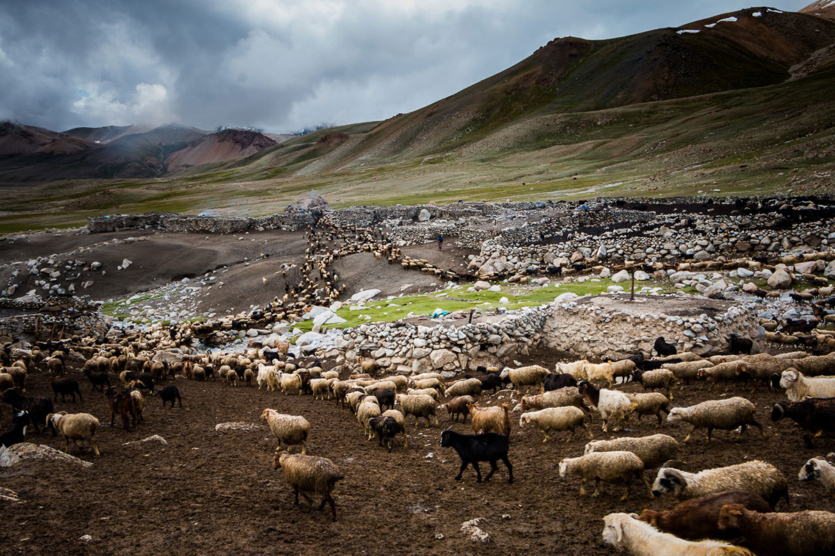 The last shepherdesses of Pamir, Pakistan/ Please DO Not Use