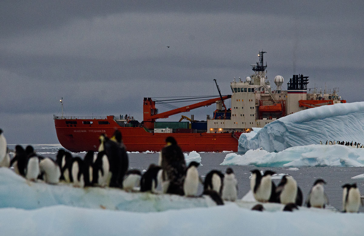 Antarctica Image Gallery
