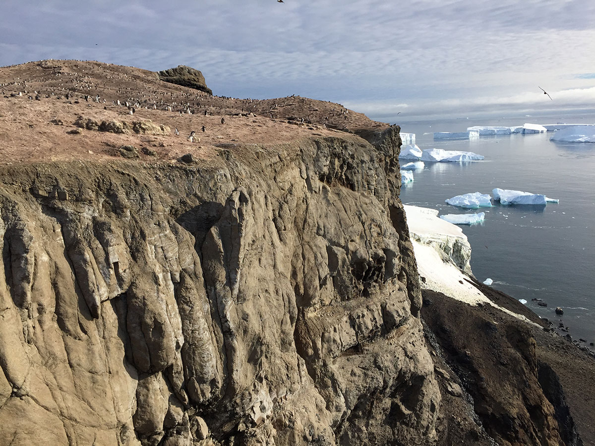 Antarctica Image Gallery