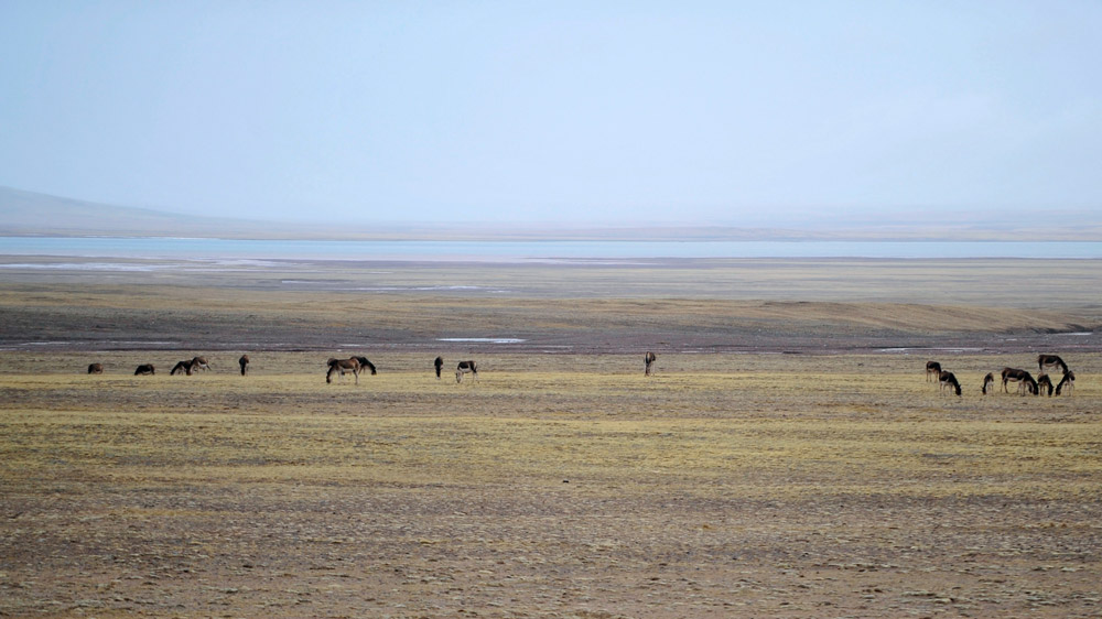 Tibet outside image